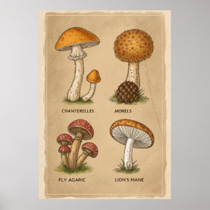 Fungi Chronicles: een Antiek mycologische studie Poster
