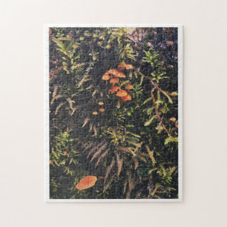 Fungi Dreams Legpuzzel