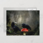 Fungi Experts Briefkaart (Voorkant / Achterkant)