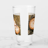 FUNGI GLAS (Links)