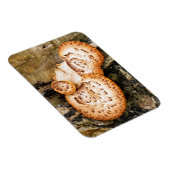 FUNGI MAGNEET (Rechterzijde)