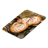 FUNGI MAGNEET (Linkerzijde)