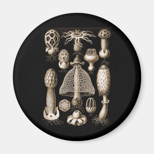 Fungi Magneet (Voorkant)