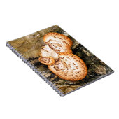 FUNGI NOTITIEBOEK (Rechterzijde)