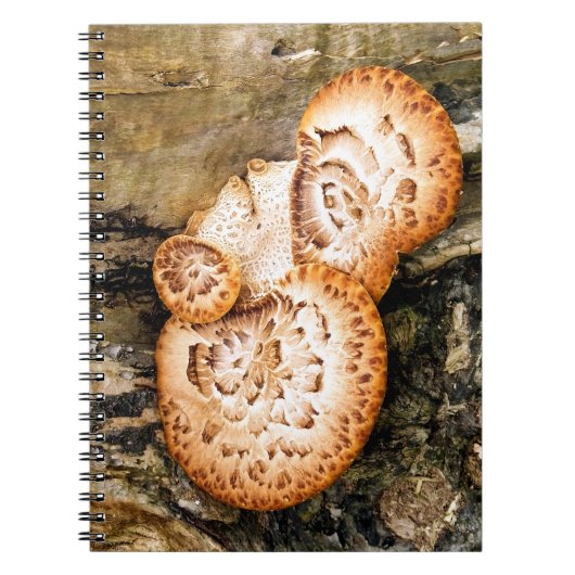 FUNGI NOTITIEBOEK (Voorkant)