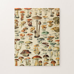 Fungi-paddenstoel Legpuzzel