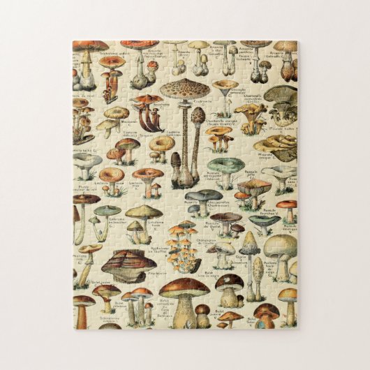 Fungi-paddenstoel Legpuzzel (Verticaal)
