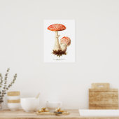 Fungi Poster (Keuken)