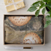 FUNGI TISSUEPAPIER (Geschenk)