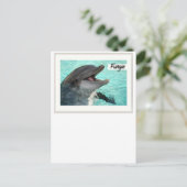 Fungie La Carte Postale Dolphin (Debout devant)