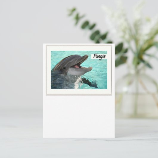 Fungie La Carte Postale Dolphin (Debout devant)