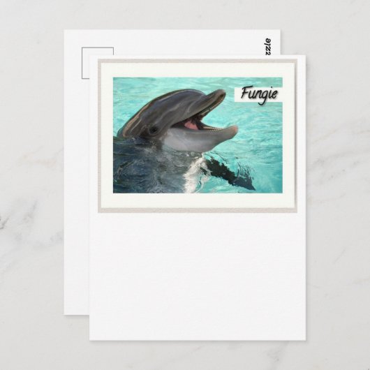 Fungie La Carte Postale Dolphin (Devant / Derrière)