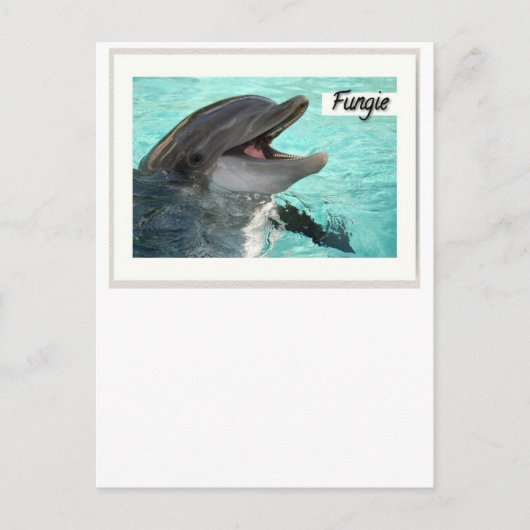 Fungie La Carte Postale Dolphin (Devant)