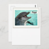 Fungie The Dolphin Briefkaart (Voorkant / Achterkant)