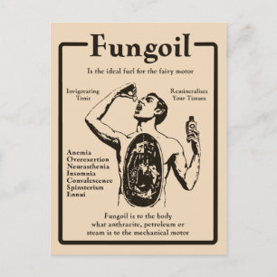Fungoil Advertisement - Briefkaart