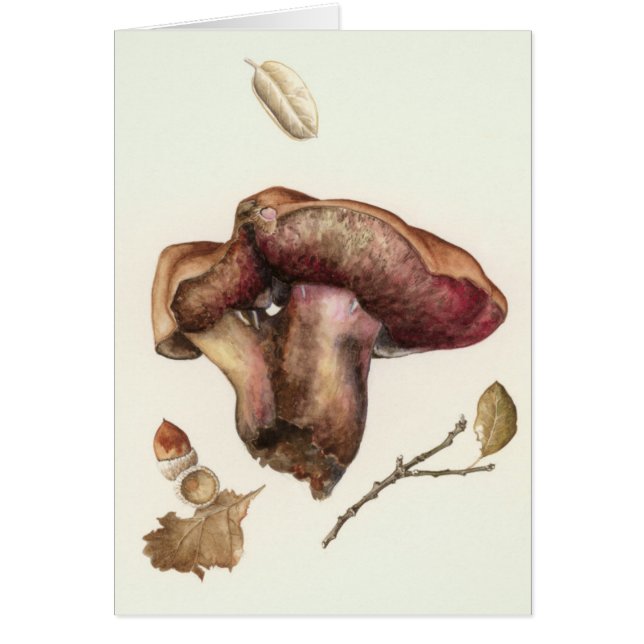 Fungus (Voorkant)