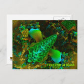 Fungus Briefkaart (Voorkant / Achterkant)