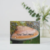 Fungus de support personnalisable carte postale (Debout devant)