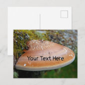 Fungus de support personnalisable carte postale (Devant / Derrière)