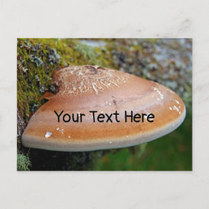 Fungus de support personnalisable carte postale