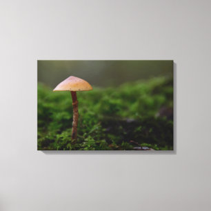 Fungus in de groene moss canvas afdruk