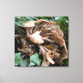 Fungus marches forward canvas afdruk
