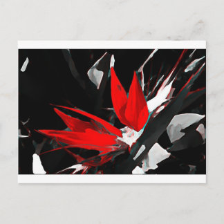 Funky Bird of Paradise Briefkaart