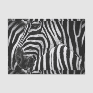 Funky Black en White Zebra Tissuepapier
