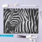 Funky Black en White Zebra Tissuepapier (Craft)