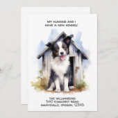 Funky Bordure Collie Chien Faire-part de déplaceme (Devant / Derrière)