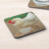 Funky Chicken Hen Hy-Line Silver Brown Bier Onderzetter (Linkerzijde)