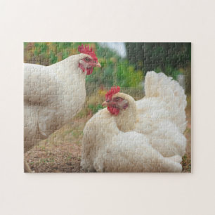 Funky Chicken Hen Hy-Line Silver Brown Legpuzzel