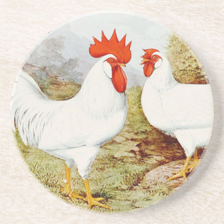 Funky Chickens Sandstone Onderzetter