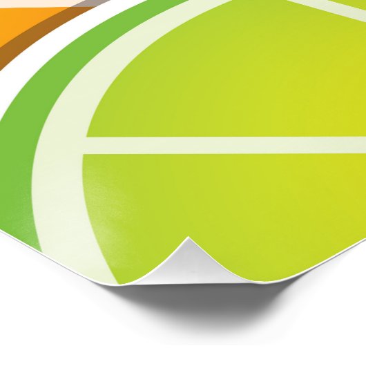 Funky citruswig perfect poster (Hoek)