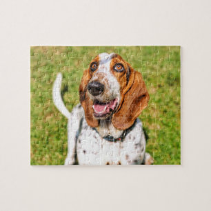 Funky Dog Basset Hound Legpuzzel