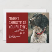 Funky Filthy Animal Pet Carte de Noël (Devant)