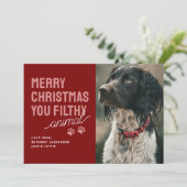 Funky Filthy Animal Pet Carte de Noël (Debout devant)