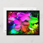 Funky Fun Flowers Briefkaart (Voorkant / Achterkant)