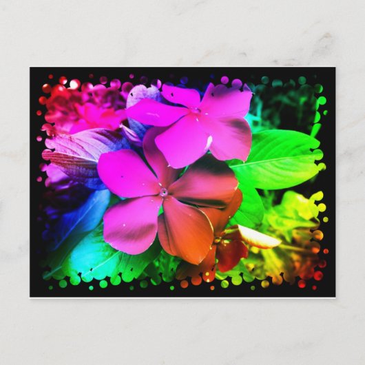 Funky Fun Flowers Briefkaart (Voorkant)
