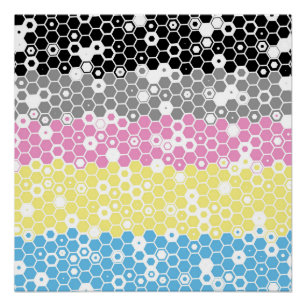 Funky Geometrische Mod Abstracte Polygender Pride  Perfect Poster
