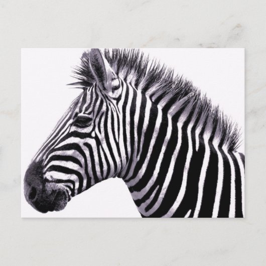 Funky Gestreept Briefkaart (Voorkant)