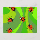 Funky Ladybugs Briefkaart (Voorkant)