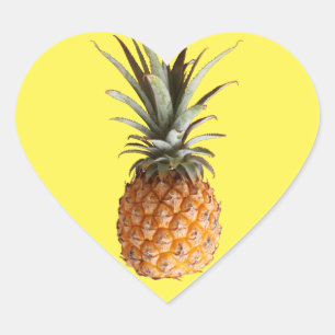 Funky Lekkere Ananas Sticker