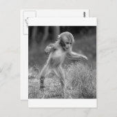 Funky Little Monkey Briefkaart (Voorkant / Achterkant)