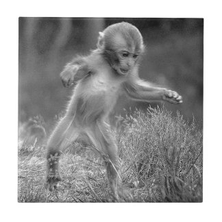 Funky Little Monkey Tegeltje