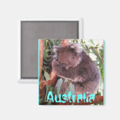Funky mignon ours koala Australie aimant Australie (Recto/Verso)