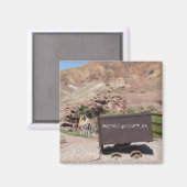 Funky Mojave Desert Magnet. Magneet (Voorkant / Achterkant)