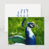 Funky Peacock Flat Carte de remerciements (Devant / Derrière)