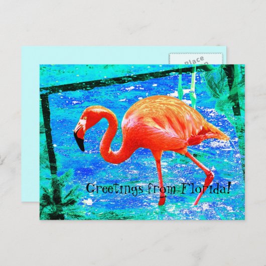 Funky rose Floride flamingo carte postale voyage (Devant / Derrière)
