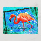 Funky rose Floride flamingo carte postale voyage (Devant)